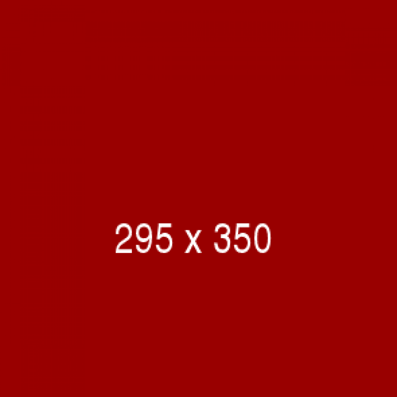 295x350